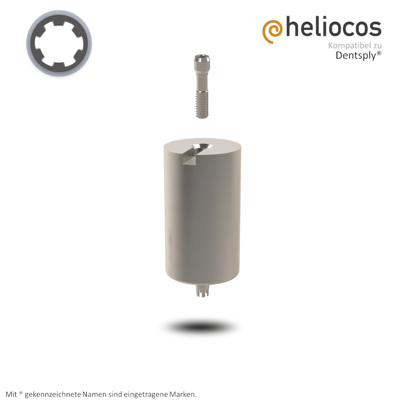 Dentsply® Preface Abutment Ankylos® | Ø 11,5 mm Dentsply® Preface Abutment Ankylos® | Ø 11,5 mm