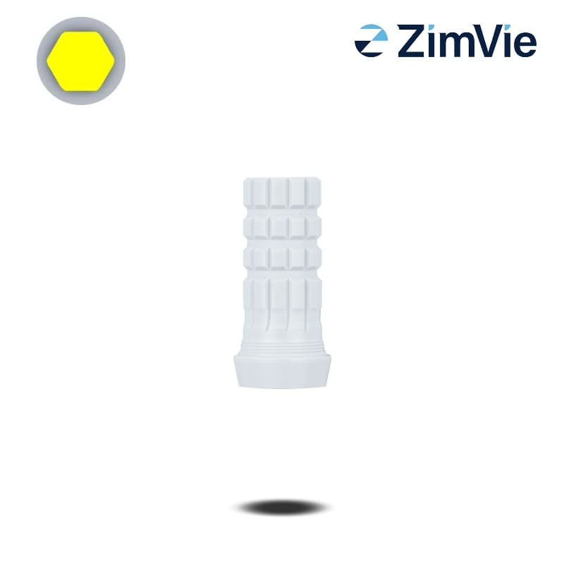 Biomet 3i PreFormance Zylinderprovisorium (Ext Hex, 5,0 mm) | mit Rotationsschutz | PEEK Biomet 3i PreFormance Zylinderprovisorium (Ext Hex, 5,0 mm) | mit Rotationsschutz | PEEK