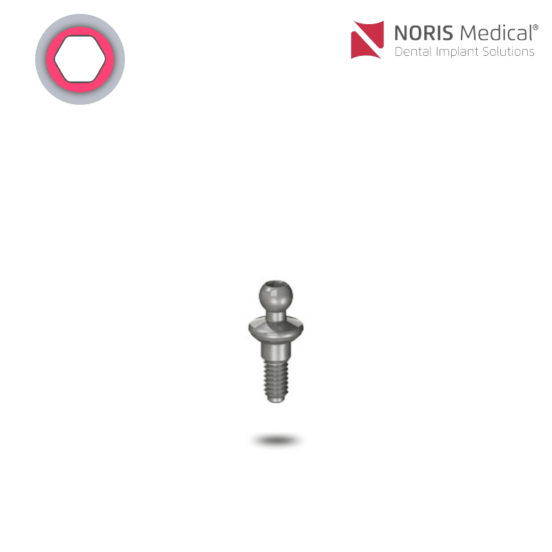 Noris Medical Kugelkopf Abutment | GH: 0,5 mm Noris Medical Kugelkopf Abutment | GH: 0,5 mm