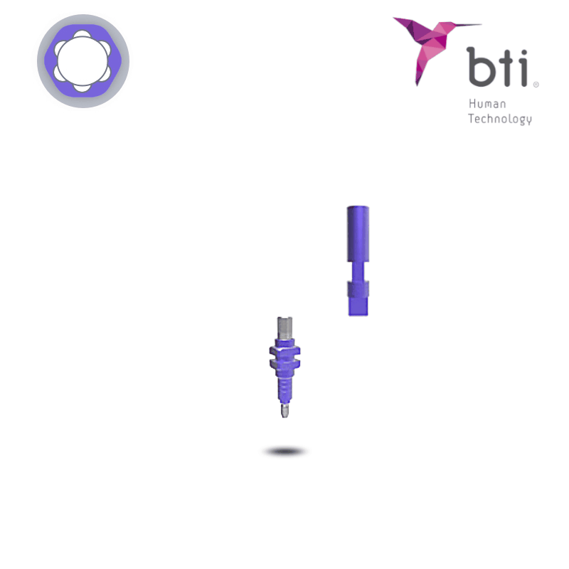 BTI Abformpfosten auf Implantatniveau (Ø 3,0 mm - 3.0) | mit Analog BTI Abformpfosten auf Implantatniveau (Ø 3,0 mm - 3.0) | mit Analog