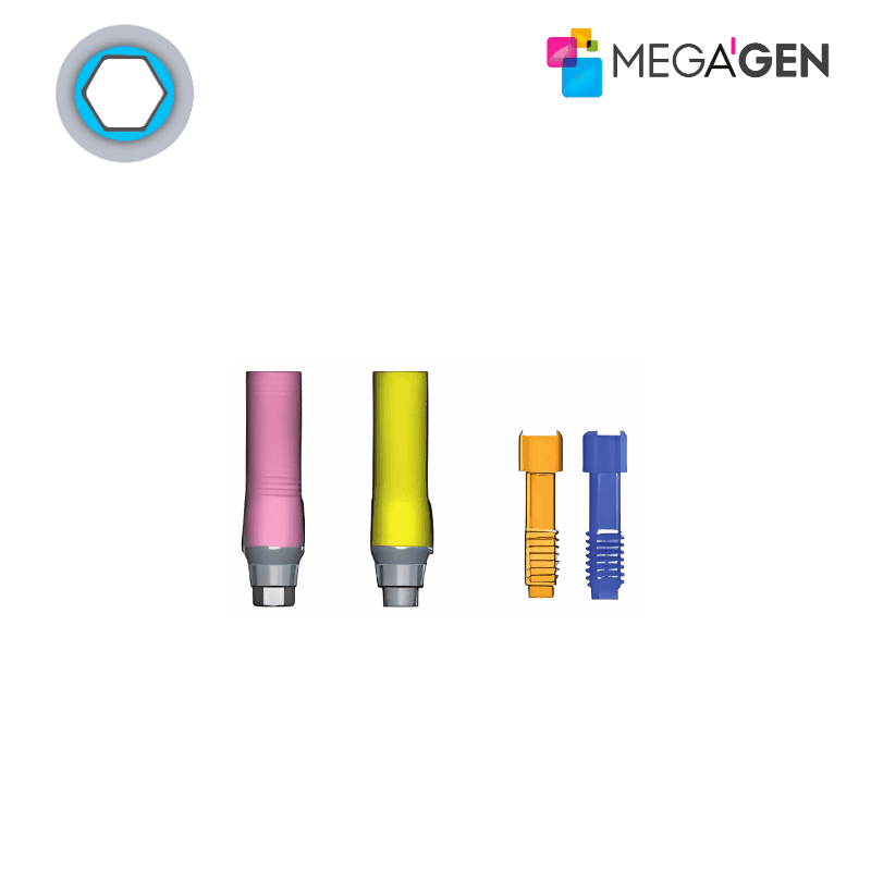 MegaGen Ausbrennbares Abutment | CCM | mit Rotationsschutz MegaGen Ausbrennbares Abutment | CCM | mit Rotationsschutz