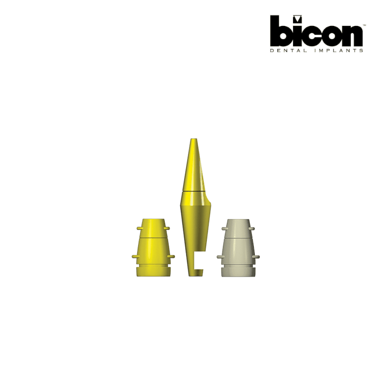Bicon Abformungs-Kit für Abutment ohne Schulter | Ø 5,0 mm | Höhe: 12,0 mm