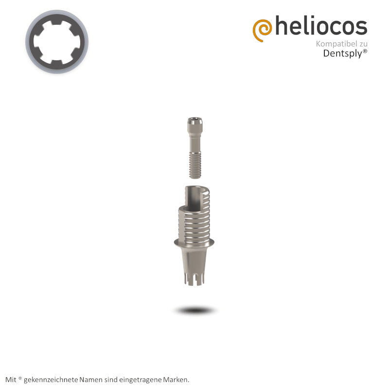 Dentsply® Titanbasis Ankylos® | Höhe: 5,5 mm | mit Rotationsschutz