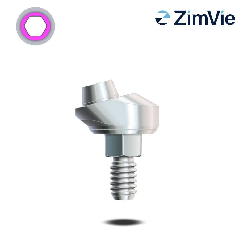 Zimmer Konisches Hex-Lock Abutment (Int Hex, 4,5 mm) | 15° | GH: 3 - 4 mm Zimmer Konisches Hex-Lock Abutment (Int Hex, 4,5 mm) | 15° | GH: 3 - 4 mm