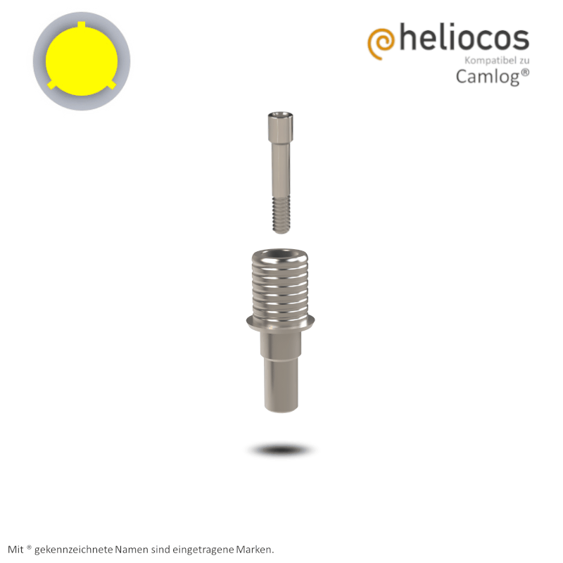 Camlog® Titanbasis Screw-Line/Root-Line2® Ø 3,8 mm | Höhe: 4,0 mm | ohne Rotationsschutz