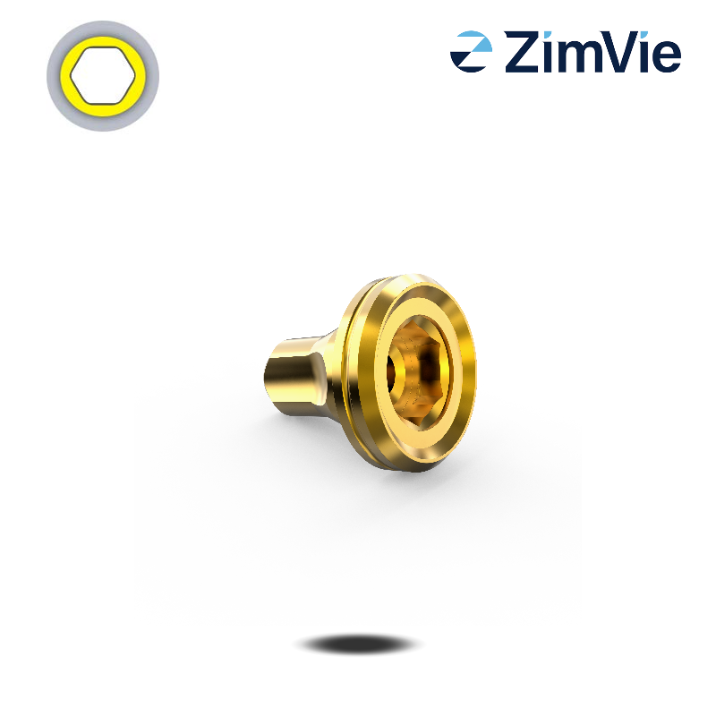 Zimmer Digitales Analog (TSV/TSX, 5,7 mm) Zimmer Digitales Analog (TSV/TSX, 5,7 mm)
