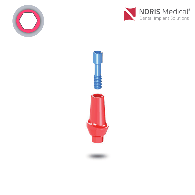 Noris Medical Ausbrennbares anatomisches Abutment | 0° | GH: 2,0 mm