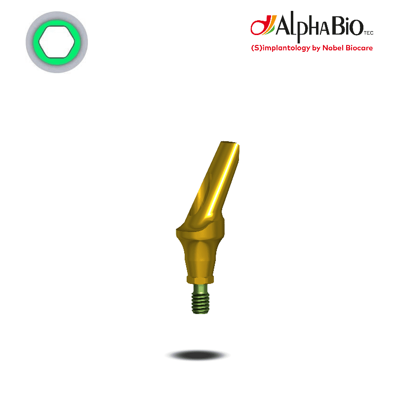 Esthetic Titan Abutment (CS) Esthetic Titan Abutment (CS)