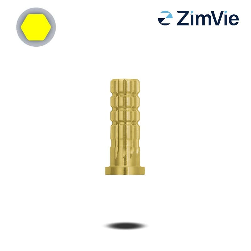 Biomet 3i PreFormance Zylinderprovisorium (Ext Hex, 5,0 mm) | mit Rotationsschutz | Titan