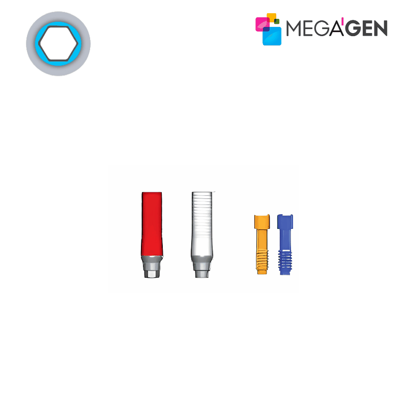 MegaGen Ausbrennbares Abutment | Gold (Au) | mit Rotationsschutz MegaGen Ausbrennbares Abutment | Gold (Au) | mit Rotationsschutz