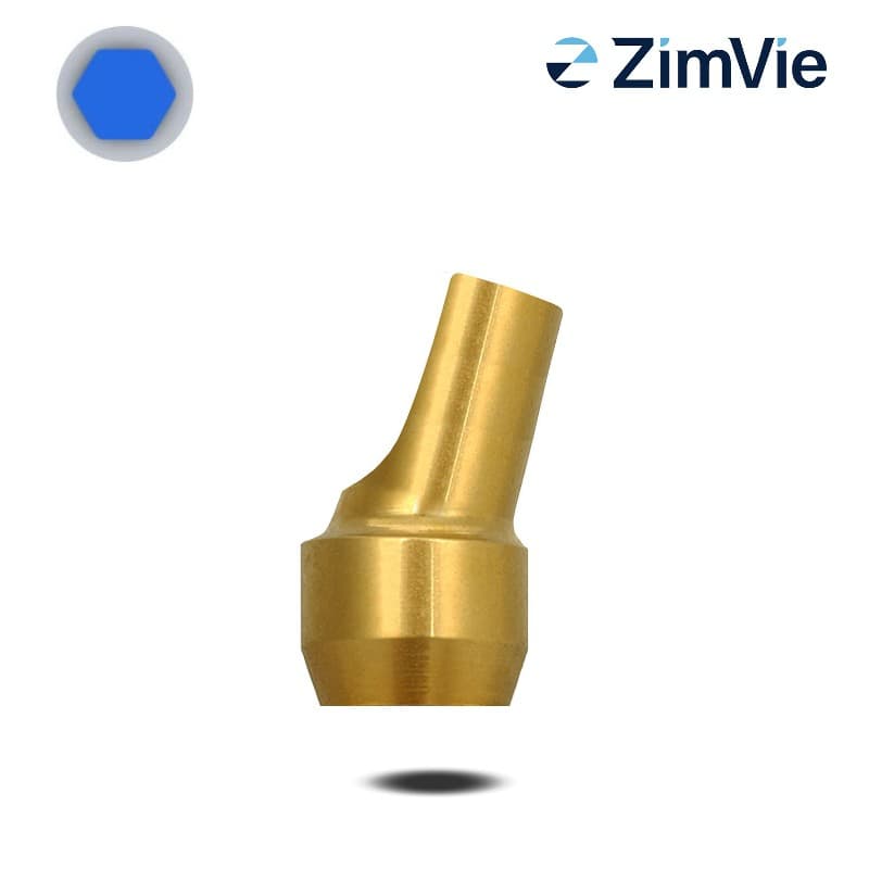 Biomet 3i Abutment (GingiHue-Pfosten) (Ext Hex, 4,1 mm) | 15° | Ø 6,0 mm | GH: 4,0 mm