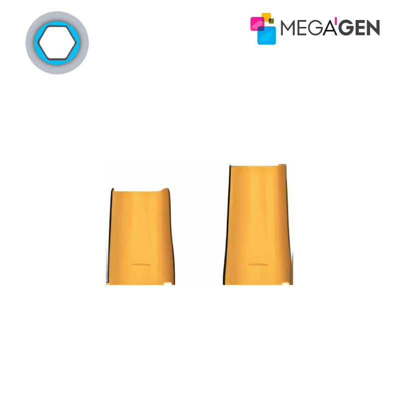 MegaGen EZ Post Zylinder für Octa Abutment | Typ: Octa | Ø 4,0 mm | Höhe: 5,5 mm