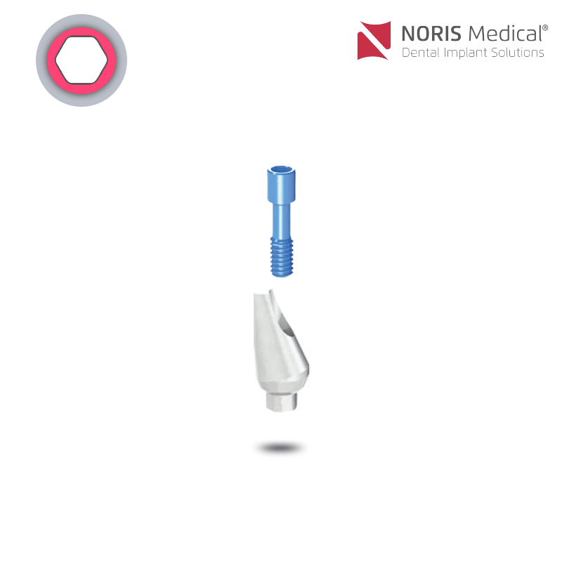 Noris Medical Ausbrennbares Abutment | mit Rotationsschutz | 15° | Ø 4,5 mm Noris Medical Ausbrennbares Abutment | mit Rotationsschutz | 15° | Ø 4,5 mm