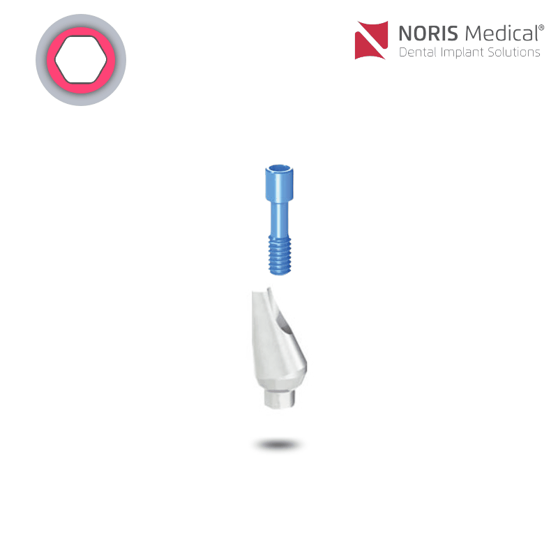 Noris Medical Ausbrennbares Abutment | mit Rotationsschutz | 15° | Ø 4,5 mm