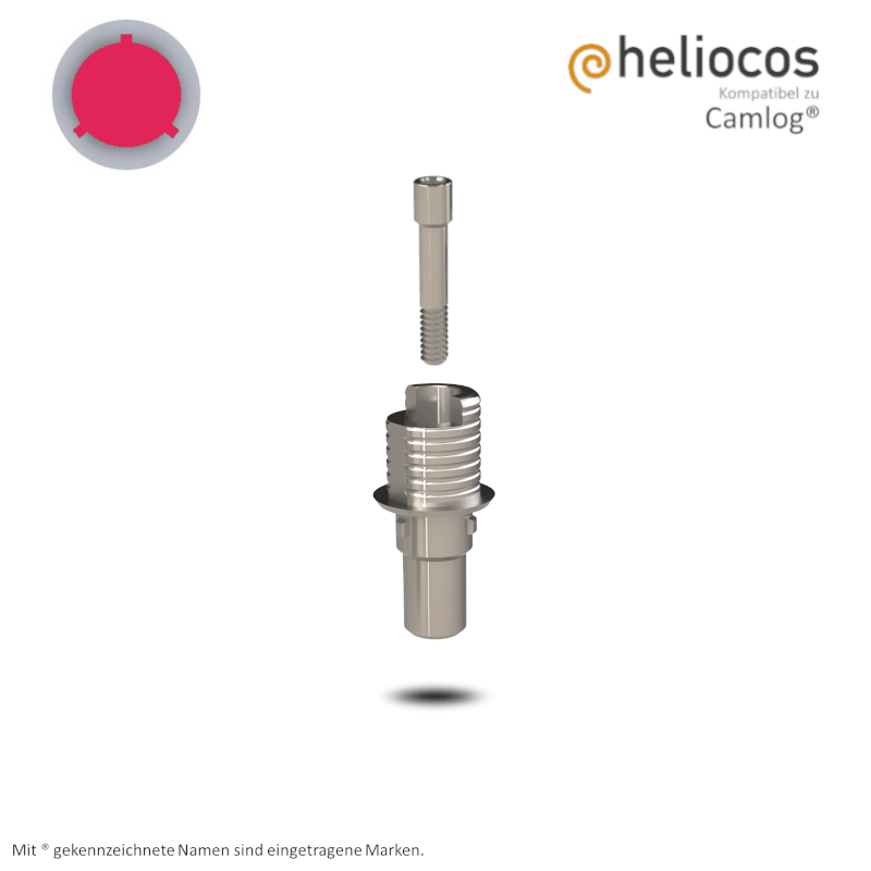 Camlog® Titanbasis Screw-Line/Root-Line2® Ø 4,3 mm | Höhe: 4,0 mm | mit Rotationsschutz