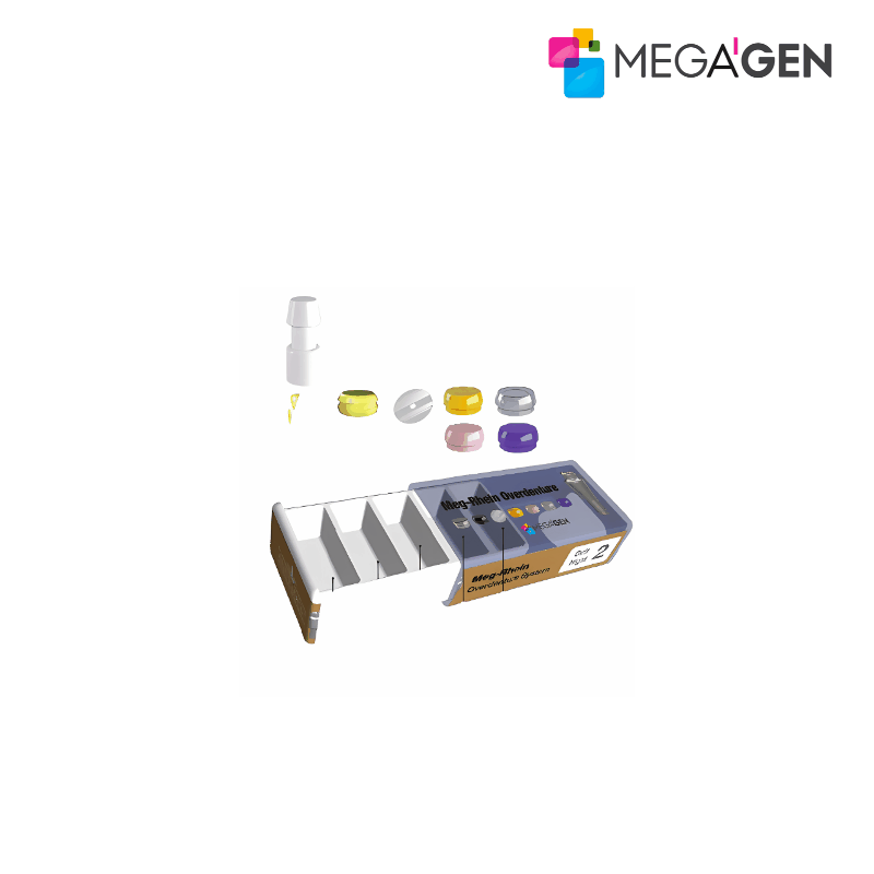 MegaGen Meg-Rhein Ovendenture System für Mini Implantat | GH: 0,0 mm