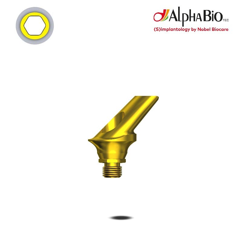 Esthetic Abutment (CHC)
