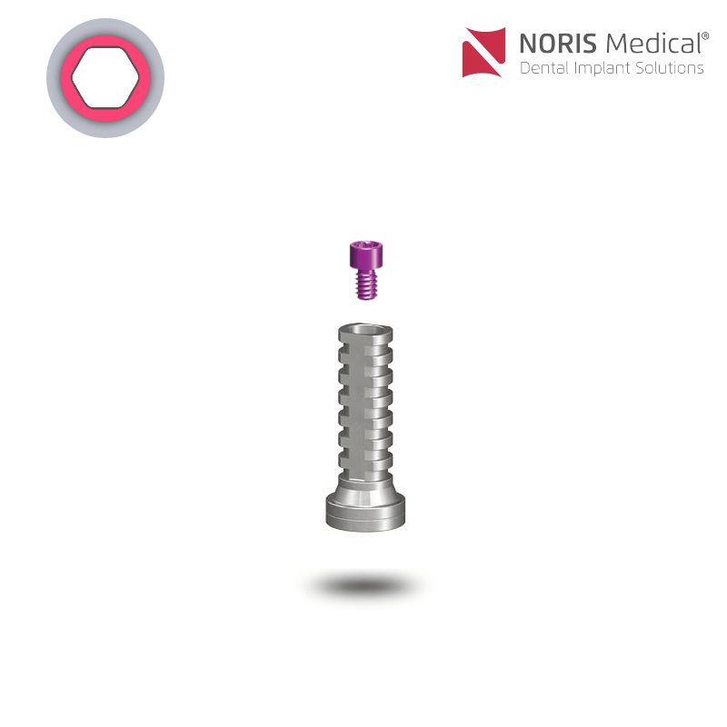 Noris Medical Multi-Unit Zylinder | Titan | Ø 3,3 mm | mit Halteschraube