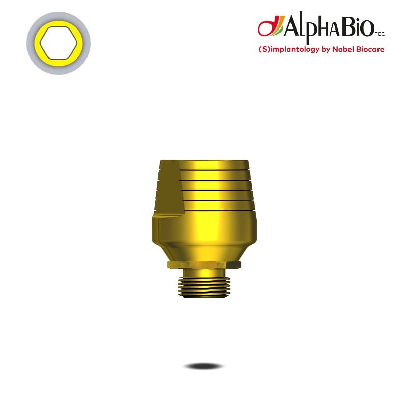 Esthetic Standard Abutment (CHC) Esthetic Standard Abutment (CHC)