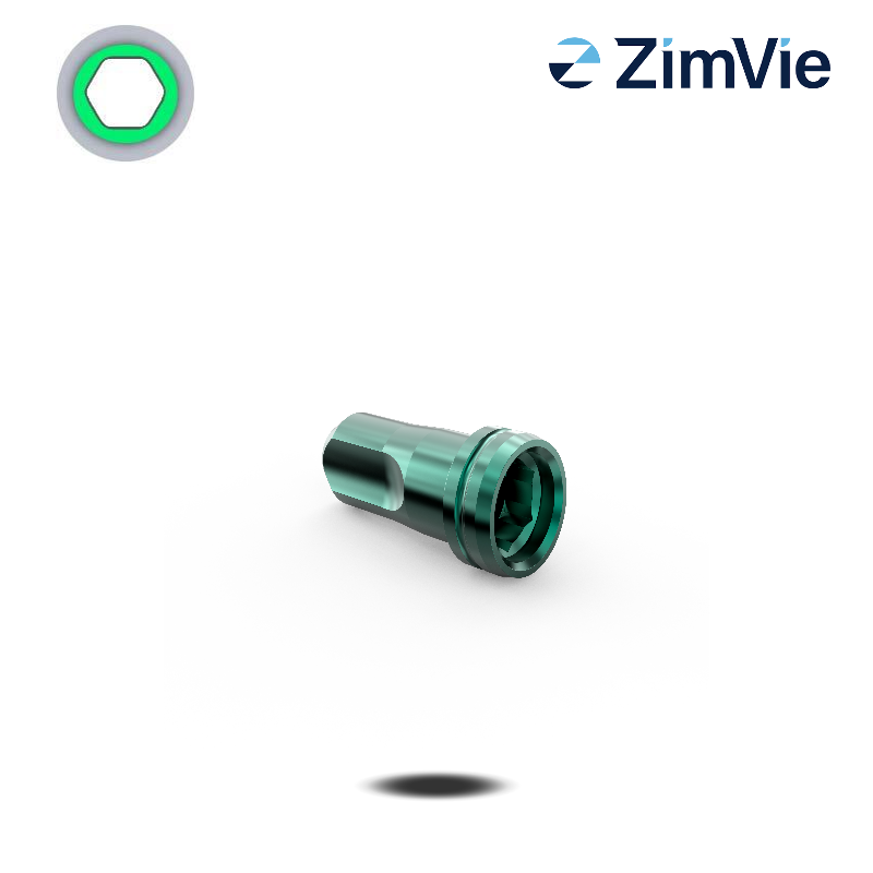 Zimmer Digitales Analog (TSV/TSX, 3,5 mm) Zimmer Digitales Analog (TSV/TSX, 3,5 mm)