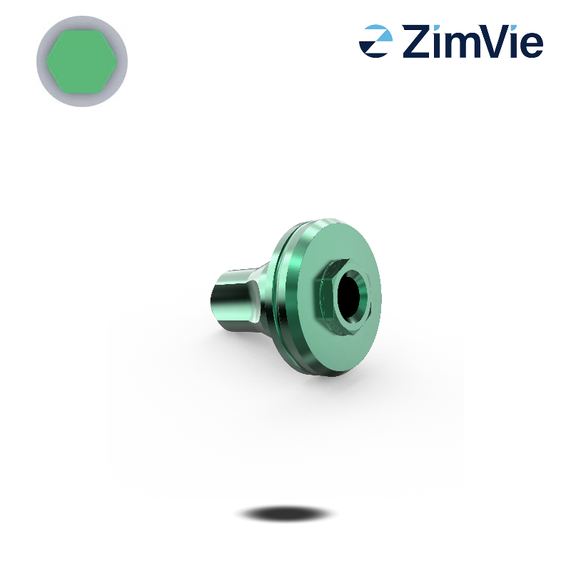 Biomet 3i Digitales Analog (Ext Hex, 6,0 mm)