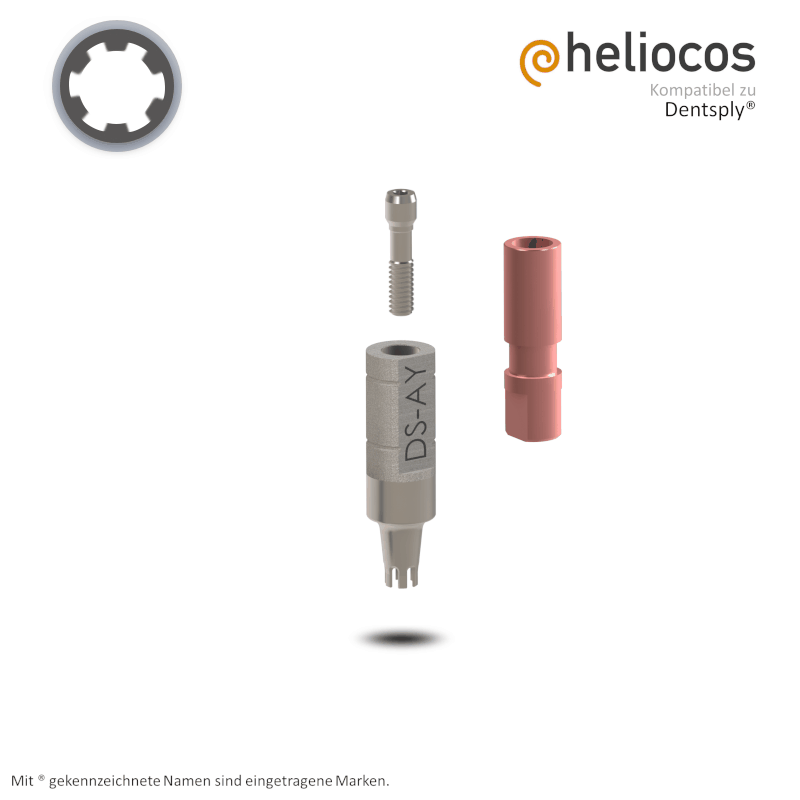 Dentsply® Scanbody Ankylos® | mit Labor-Analog Dentsply® Scanbody Ankylos® | mit Labor-Analog