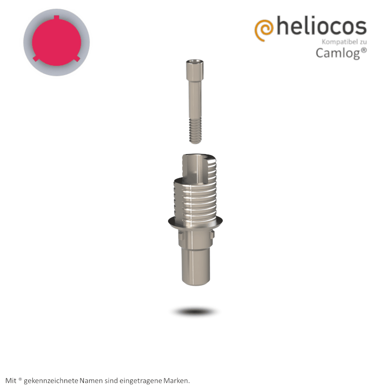 Camlog® Titanbasis Screw-Line/Root-Line2® Ø 4,3 mm | Höhe: 5,5 mm | mit Rotationsschutz
