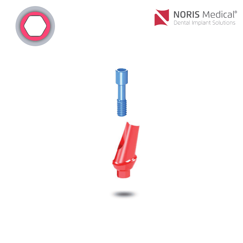 Noris Medical Ausbrennbares anatomisches Abutment | 15° | GH: 1,0 mm