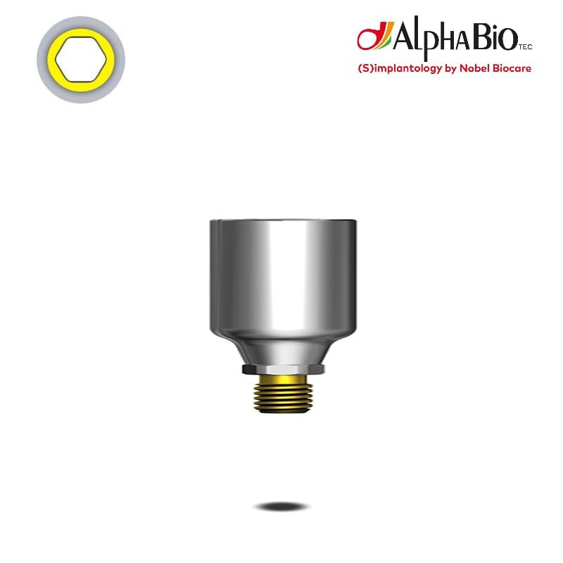 Nobel Biocare Esthetic Standard Abutment (fräßbar) (CHC) Nobel Biocare Esthetic Standard Abutment (fräßbar) (CHC)