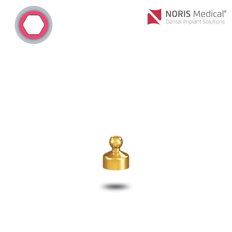 Noris Medical Vari-Connect Kugelkopfaufsatz | GH: 2,0 mm Noris Medical Vari-Connect Kugelkopfaufsatz | GH: 2,0 mm