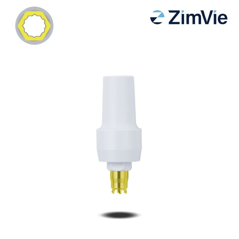 Biomet 3i PreFormance-Pfosten (Certain, 5,0 mm) | 0° | Höhe: 4,0 mm Biomet 3i PreFormance-Pfosten (Certain, 5,0 mm) | 0° | Höhe: 4,0 mm