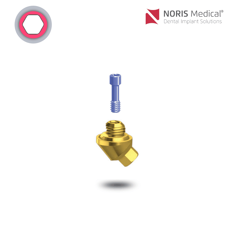 Noris Medical Vari-Connect Basis | 45° | GH: 2,0 mm