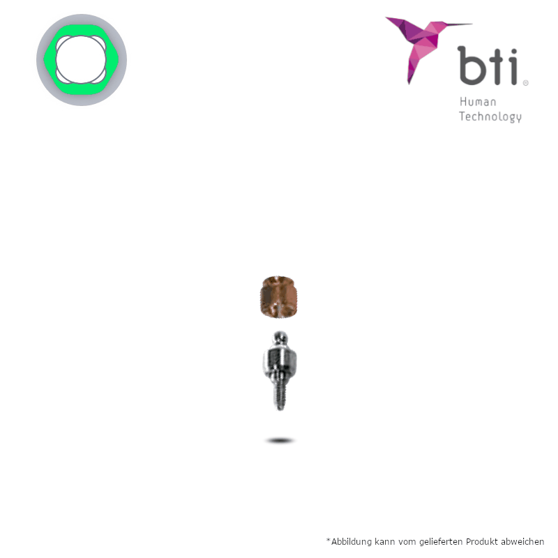 BTI Dalbo Abutment (Ø 4,1 mm - standard/plus) | mit Matrize