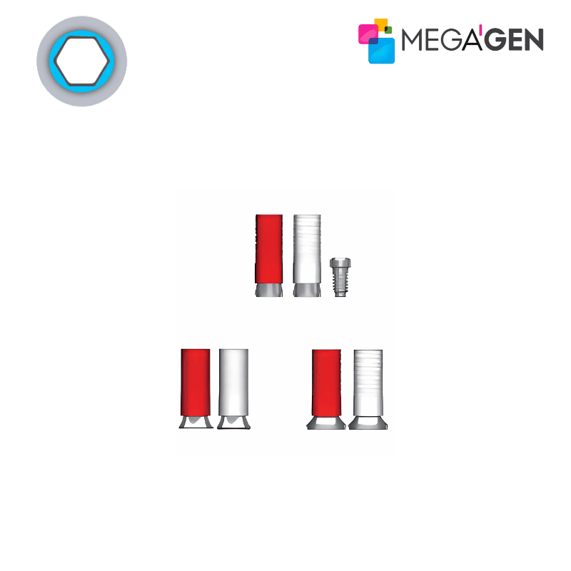 MegaGen Ausbrennbares Abutment für Octa Abutment | Typ: Octa | Gold (Au) | Ø 4,0 mm MegaGen Ausbrennbares Abutment für Octa Abutment | Typ: Octa | Gold (Au) | Ø 4,0 mm