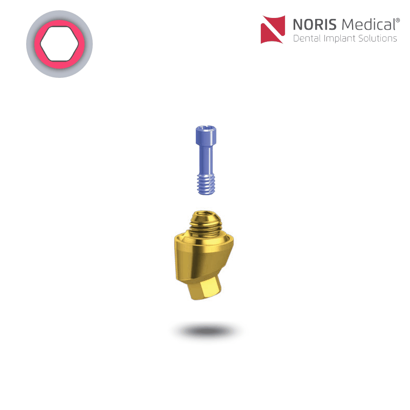 Noris Medical Vari-Connect Basis | 17° | GH: 3,0 mm