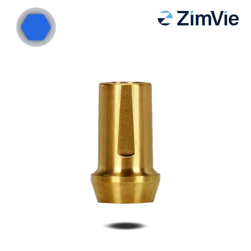 Biomet 3i Abutment (GingiHue-Pfosten) (Ext Hex, 4,1 mm) | 0° | Ø 5,0 mm | GH: 2,0 mm