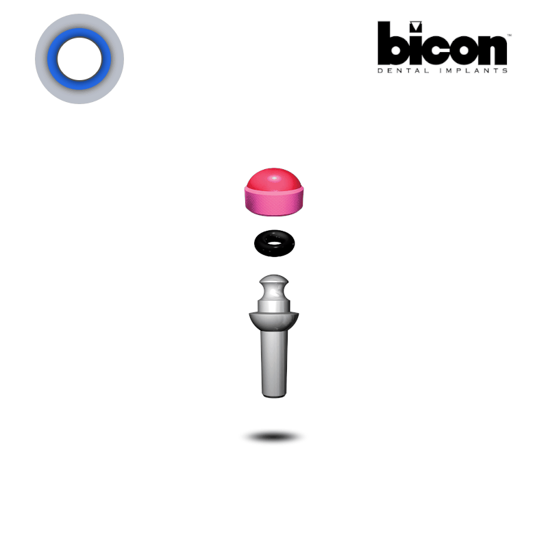 Bicon Kugelkopf Abutment 2,5 mm Schaft | 0° | Höhe: 4,0 mm