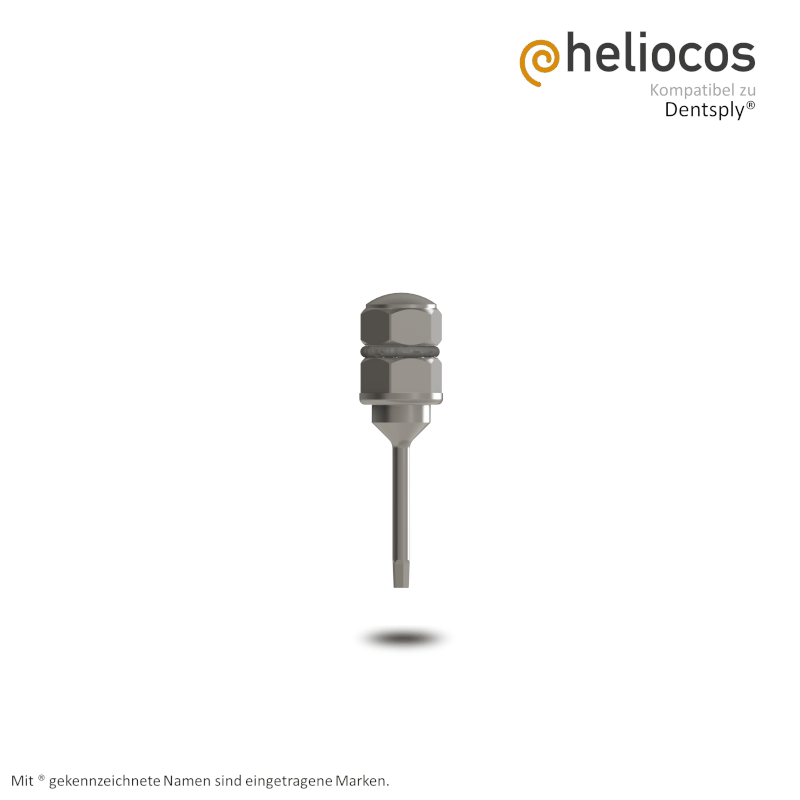 Eindrehinstrument mit Hex 1,22 mm für Ratsche Dentsply® Xive® S | Länge: 25,0 mm Eindrehinstrument mit Hex 1,22 mm für Ratsche Dentsply® Xive® S | Länge: 25,0 mm