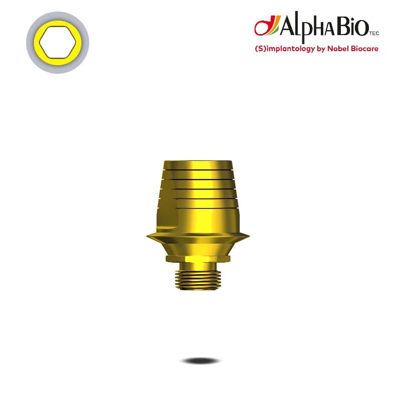 Esthetic Abutment (CHC)