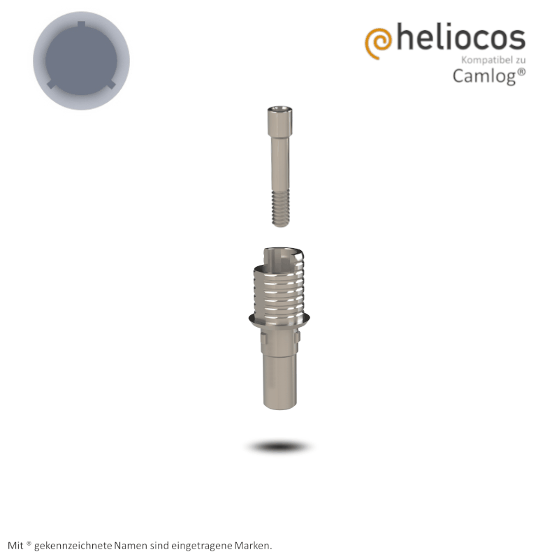 Camlog® Titanbasis Screw-Line/Root-Line2® Ø 3,3 mm | Höhe: 4,0 mm | mit Rotationsschutz