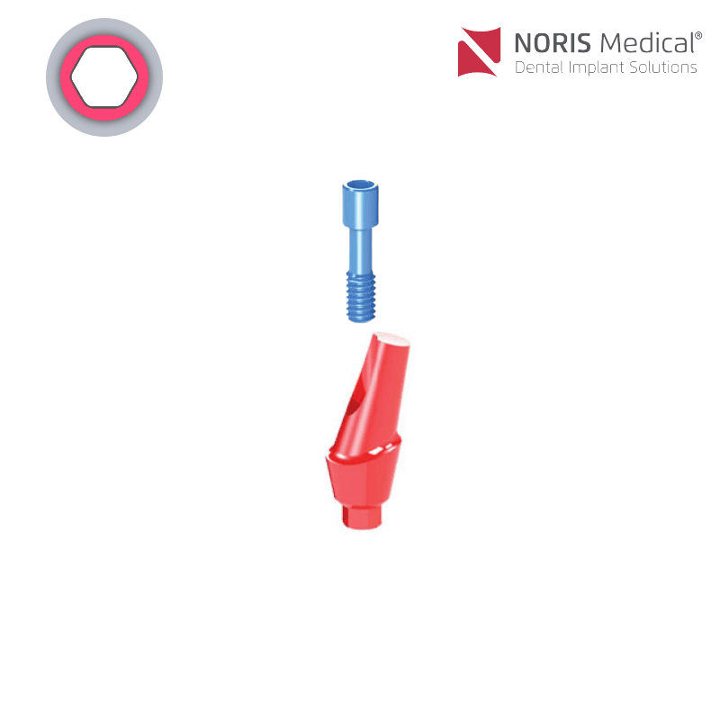 Noris Medical Ausbrennbares anatomisches Abutment | 15° | GH: 3,0 mm