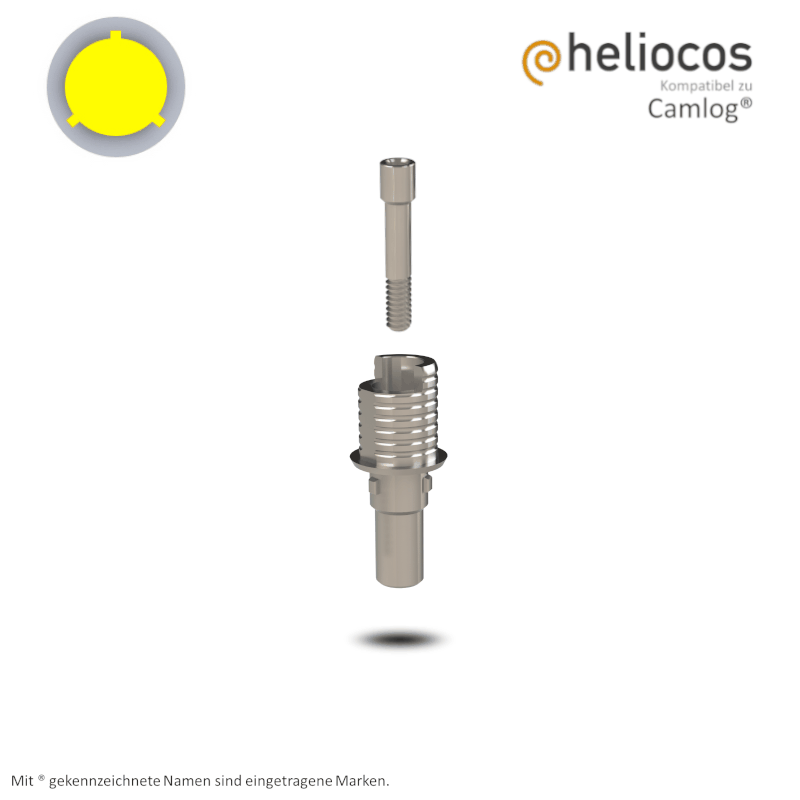 Camlog® Titanbasis Screw-Line/Root-Line2® Ø 3,8 mm | Höhe: 4,0 mm | mit Rotationsschutz Camlog® Titanbasis Screw-Line/Root-Line2® Ø 3,8 mm | Höhe: 4,0 mm | mit Rotationsschutz