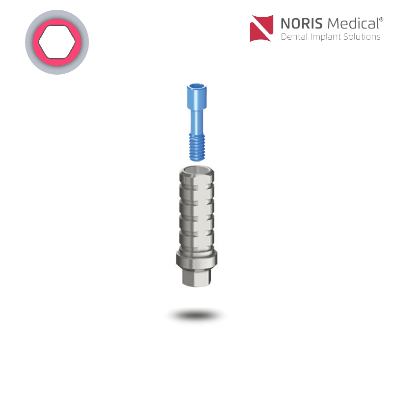 Noris Medical Temporärer Zylinder | mit Rotationsschutz | Ø 3,8 mm Noris Medical Temporärer Zylinder | mit Rotationsschutz | Ø 3,8 mm