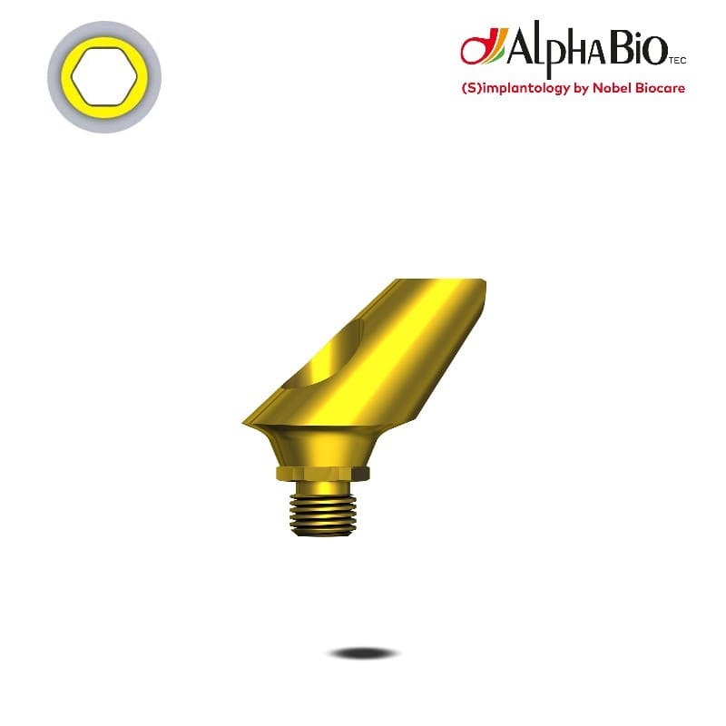 Esthetic Standard Abutment (CHC)