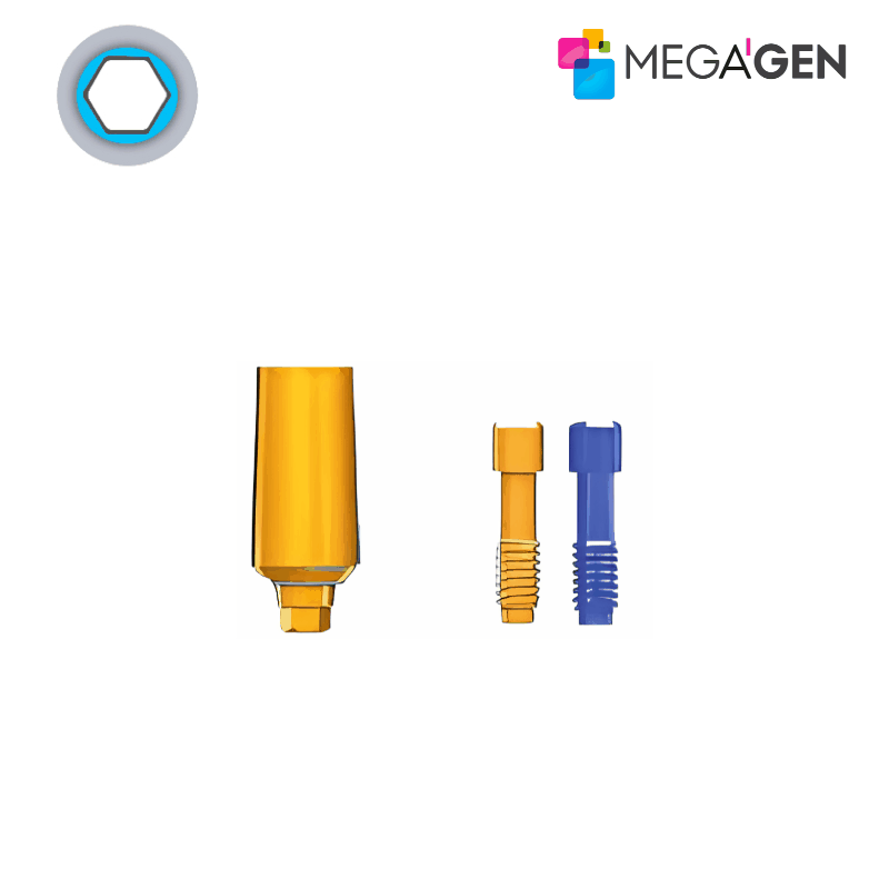 MegaGen Milling Abutment