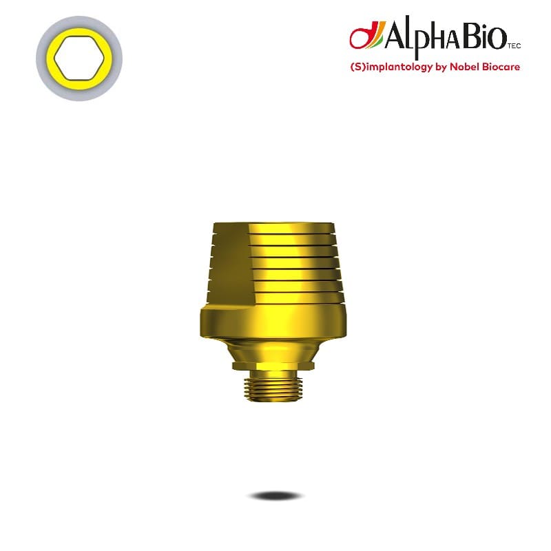 Esthetic Standard Abutment (CHC)