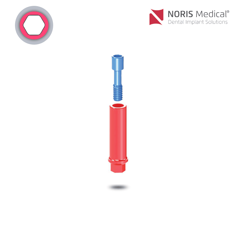 Noris Medical Ausbrennbares Abutment | mit Rotationsschutz | 0° | Ø 3,25 mm Noris Medical Ausbrennbares Abutment | mit Rotationsschutz | 0° | Ø 3,25 mm