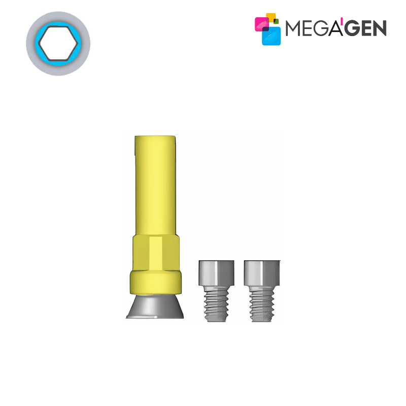 MegaGen Multi-Unit Ausbrennbarer Zylinder (N_Type)