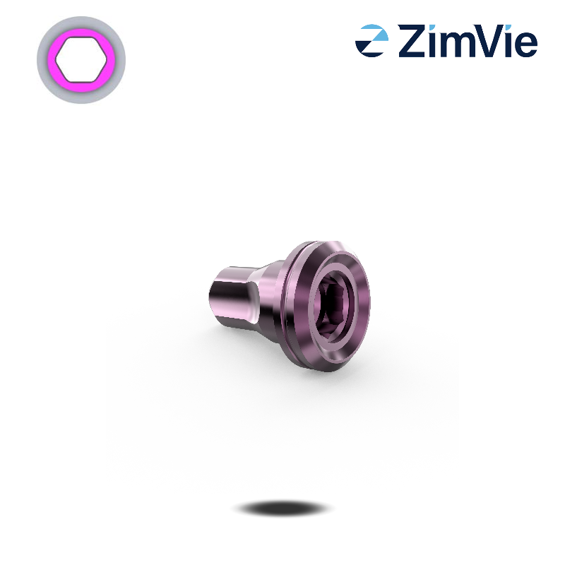 Zimmer Digitales Analog (TSV/TSX, 4,5 mm) Zimmer Digitales Analog (TSV/TSX, 4,5 mm)
