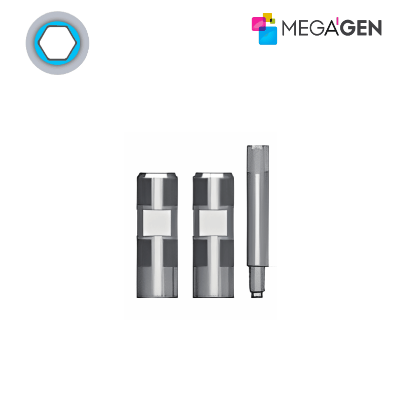 MegaGen Abformpfosten für Octa Abutment | Offene Abformung | Ø 4,0 mm | Höhe: 10,0 mm | ohne